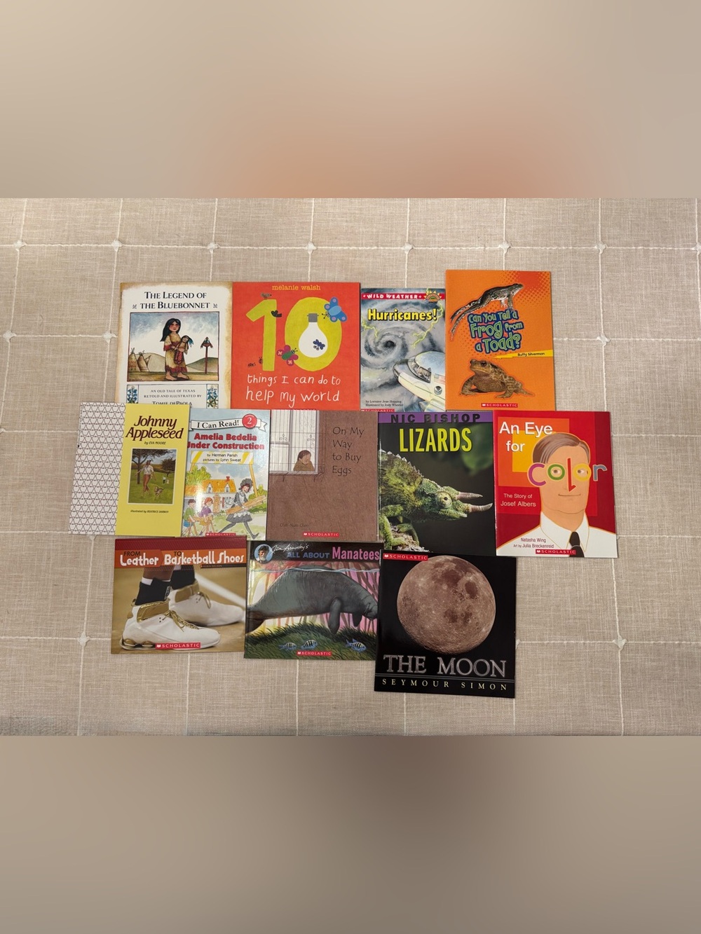 NEW! Bundle of 12 Scholastic Books NWT